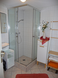 das Duschbad inkl. WC